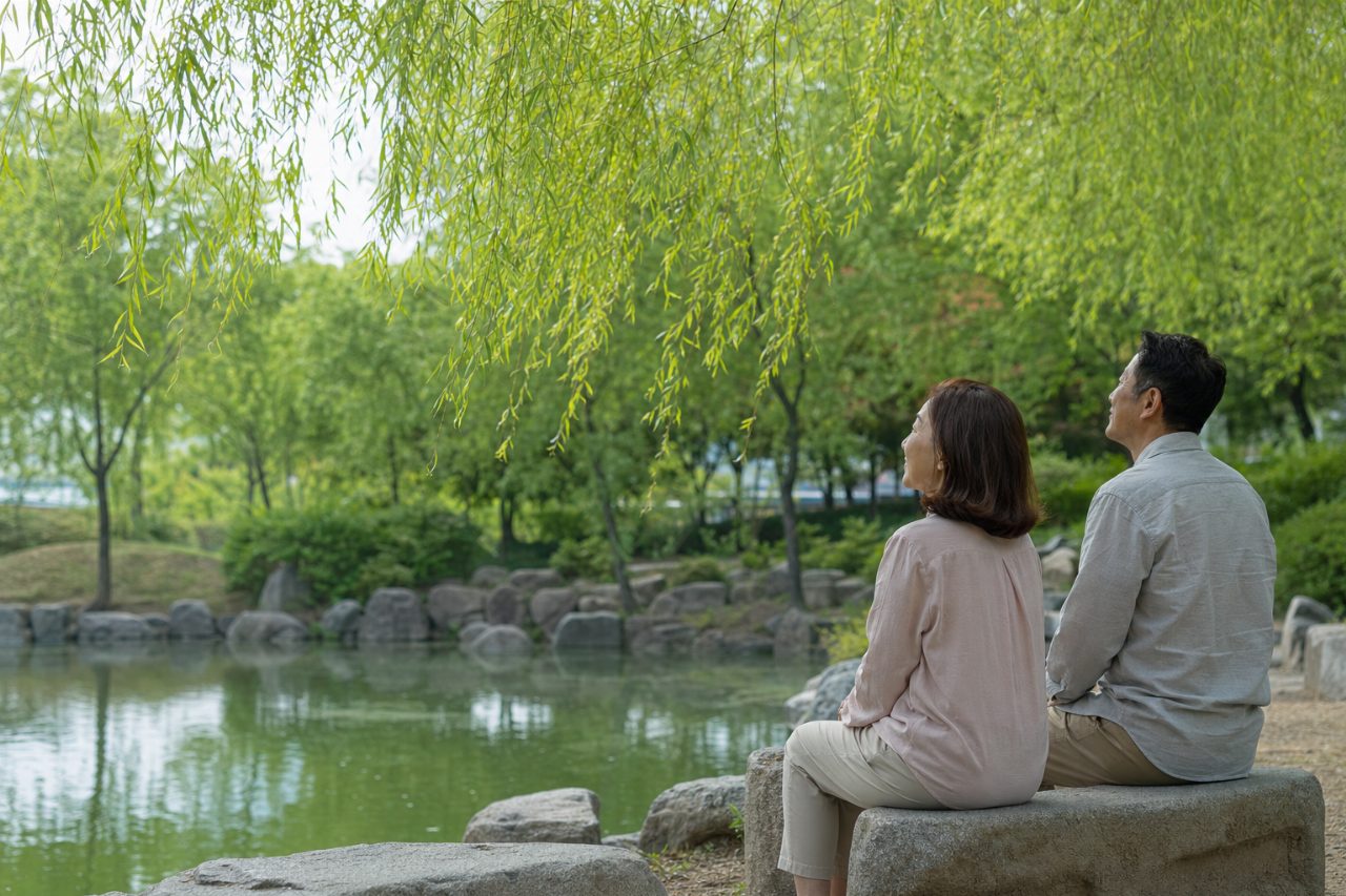 작은 연못 옆에서 고요하게 바람에 흔들리는 나뭇잎